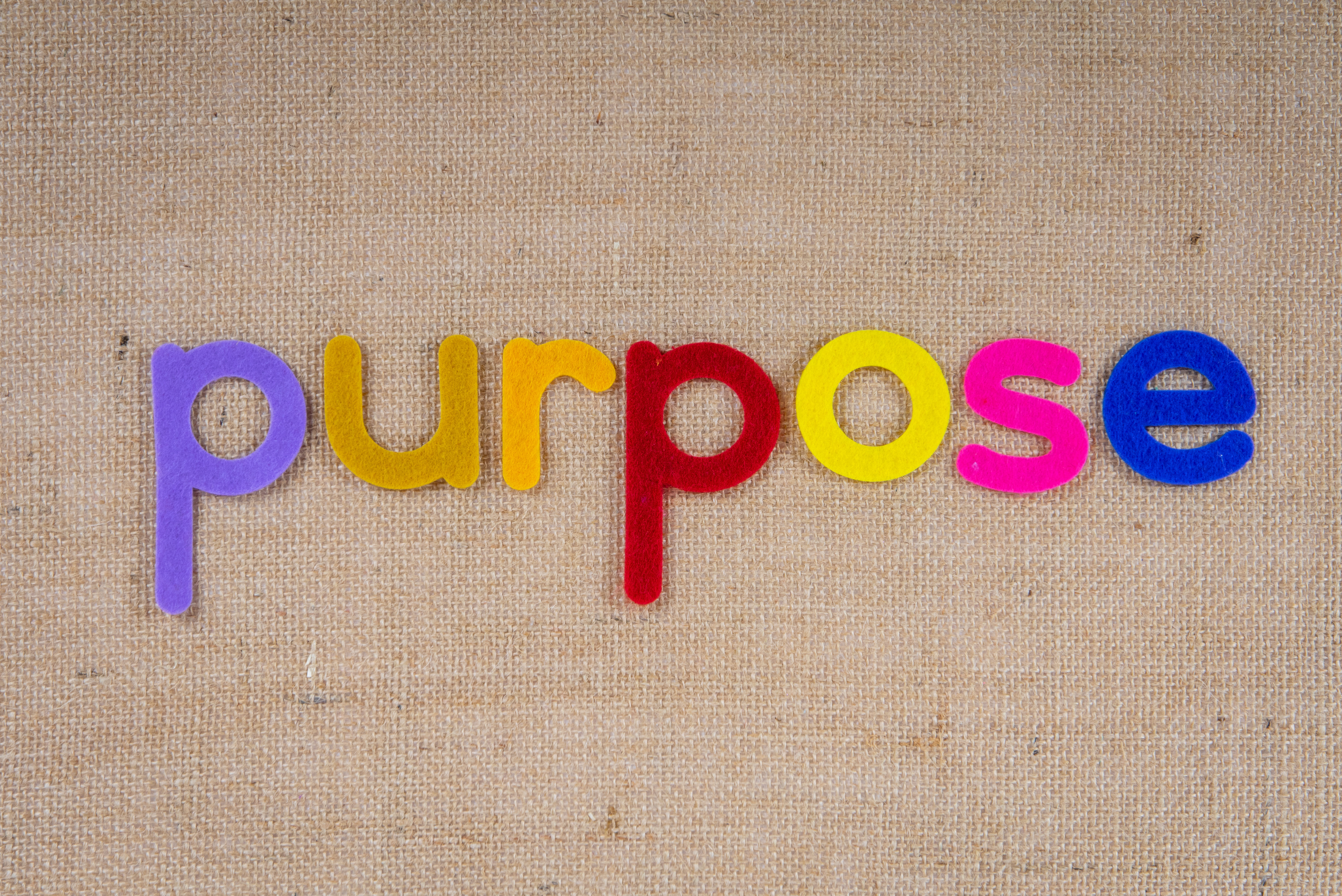 Understanding Purpose | Tommy Turner